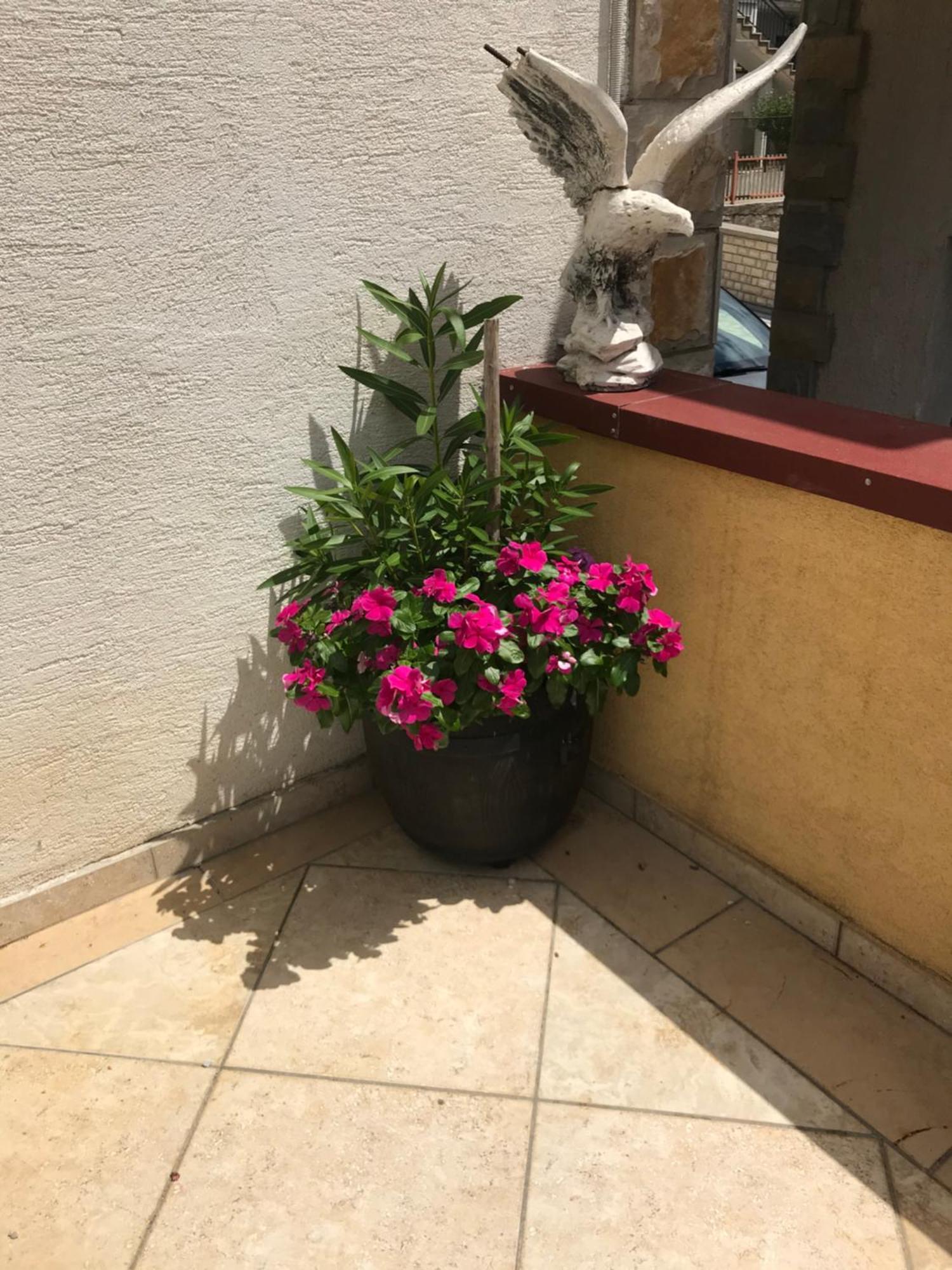 Apartman Nadia كارلوباغ الغرفة الصورة